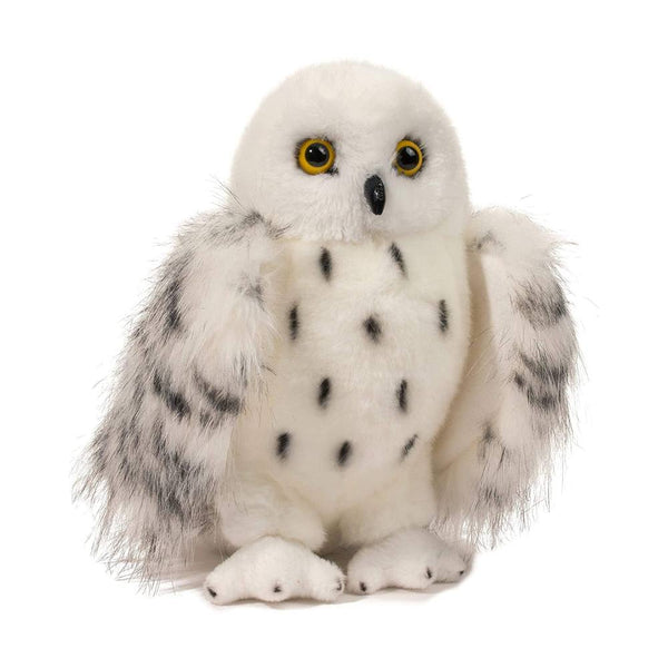 'Wizard' a white Snowy Owl with black flecks and yellow and black eyes, against a white background.